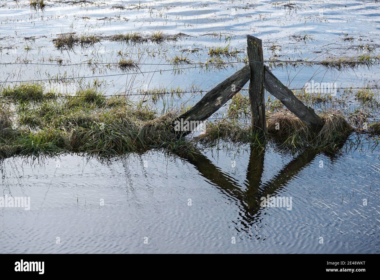 Weathered wooden fence post standing in the water on a flooded meadow