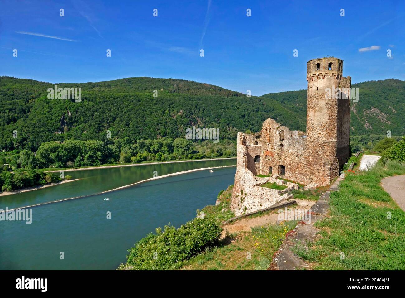 Ruin Ehrenfels Castle, Ruedesheim, Rheingau, Rhine Valley, Hesse, Germany Stock Photo