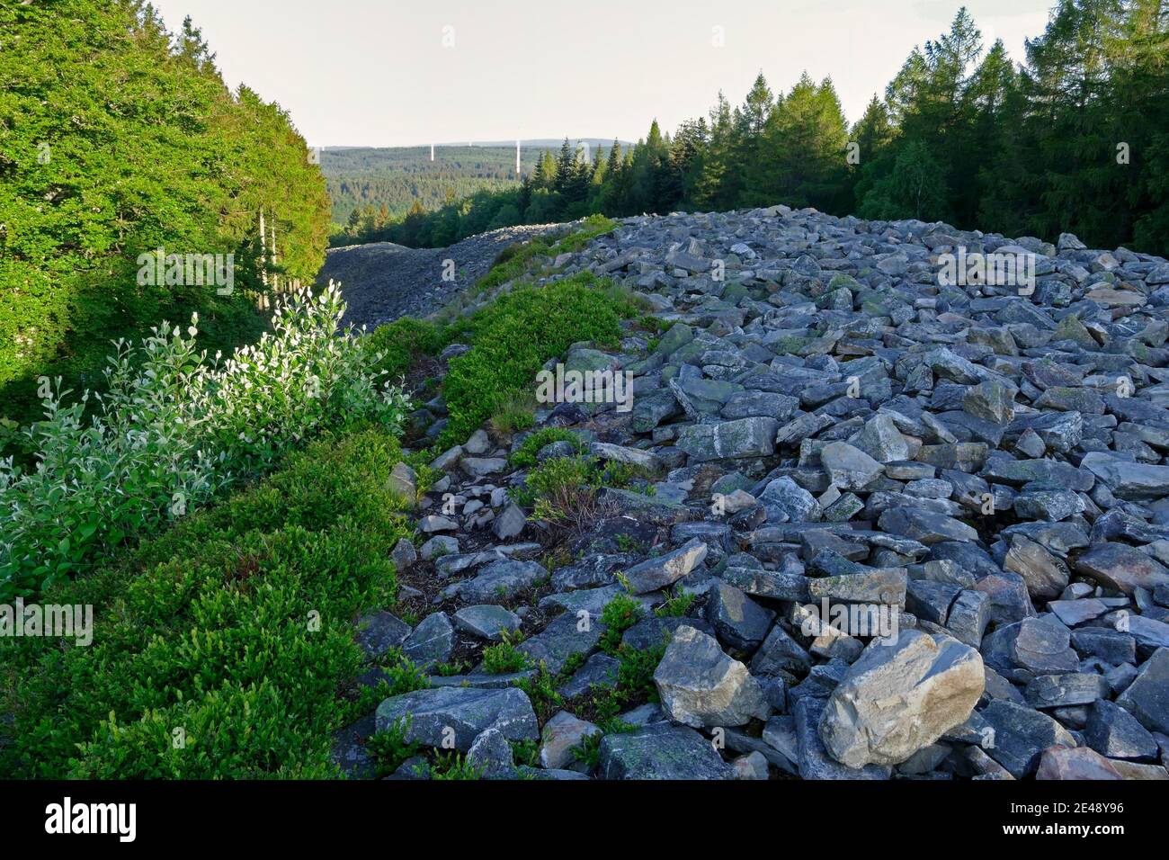 Celtic ring wall Hunnenring near Otzenhausen, Hunsrück-Hochwald National  Park, Saarland, Germany Stock Photo - Alamy