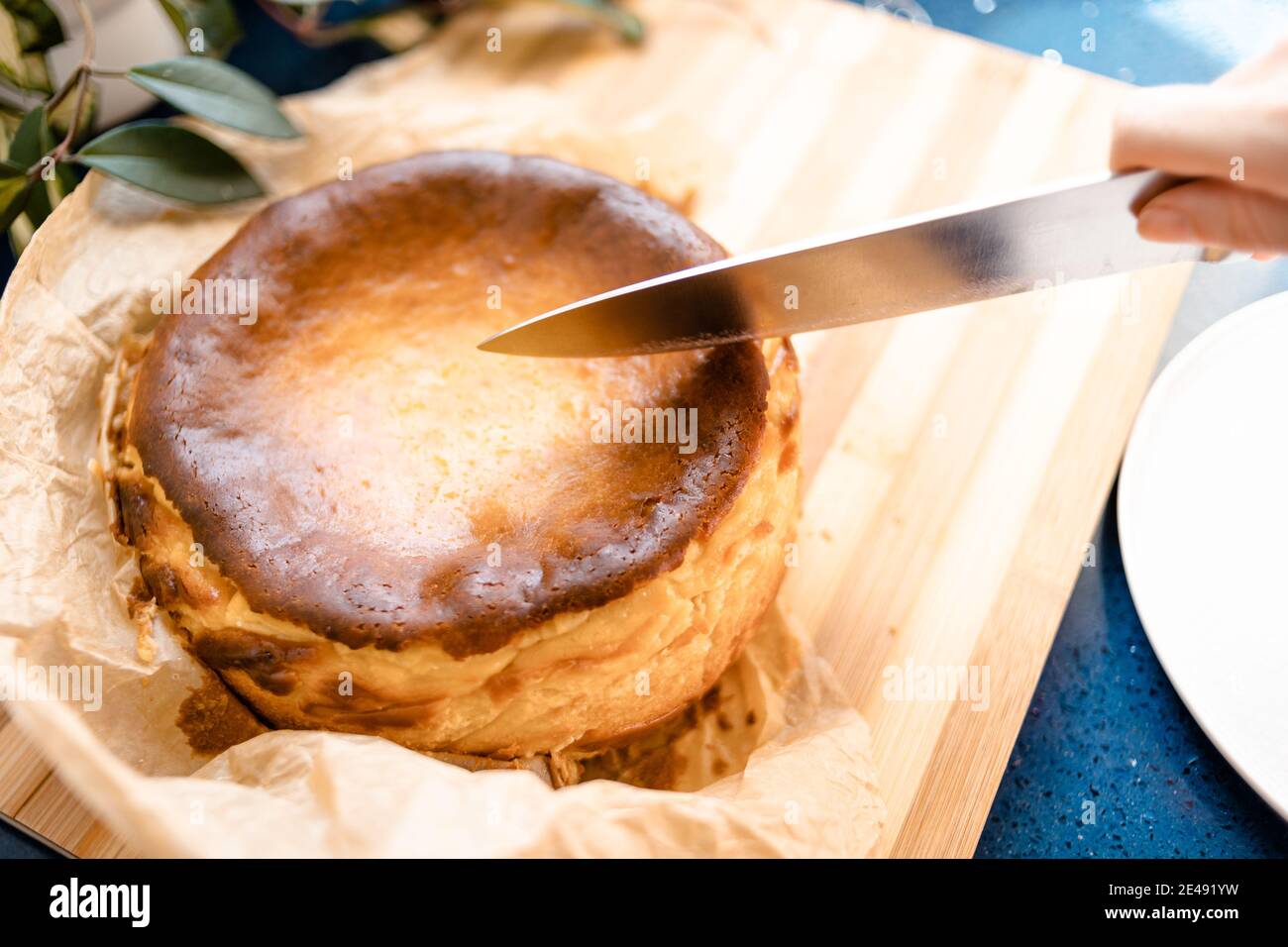 Cutting a homemade cheesecake with a knife Stock Photo Alamy
