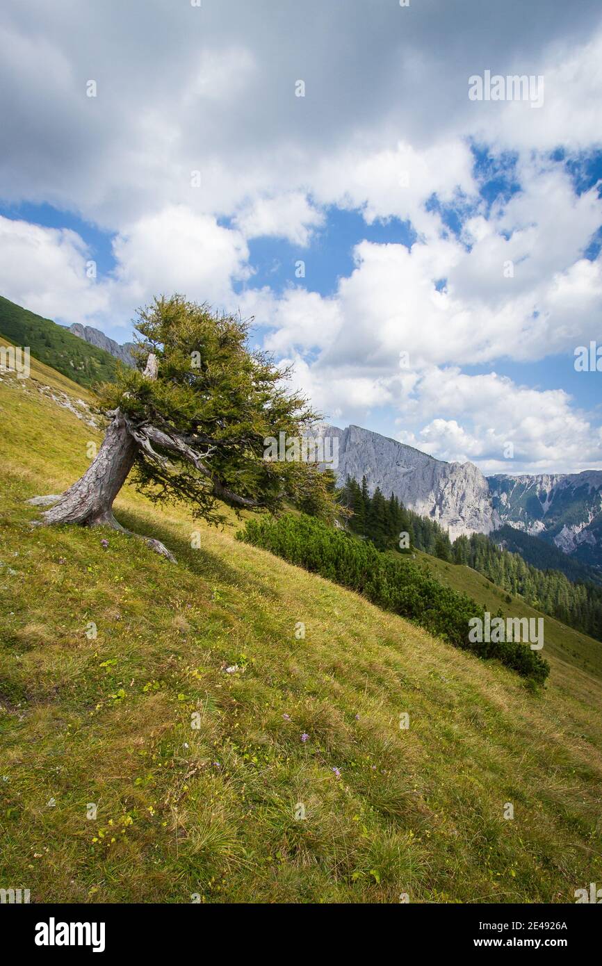 Beautiful scenery of the Hochschwab mountains in Austria Stock Photo