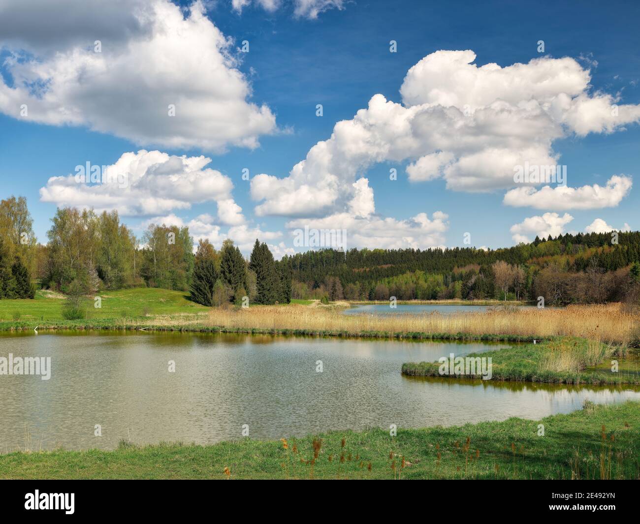 Forest, mixed forest, conifers, deciduous trees, meadow, reeds, clouds, ponds, water, stagnant water, fish ponds, spring day, sunny, local recreation area, recreation area, hills, hilly, nature park, Central Swabia, Swabia Stock Photo