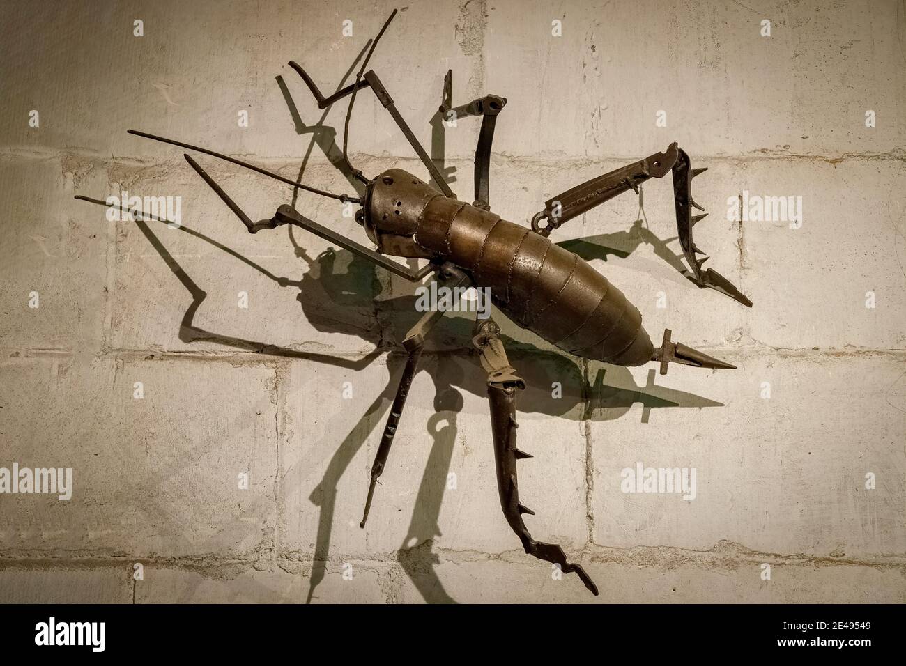 Giant ironwork sculpture of a Weta on the wall at the Steampunk HQ, Oamaru, New Zealand. Stock Photo