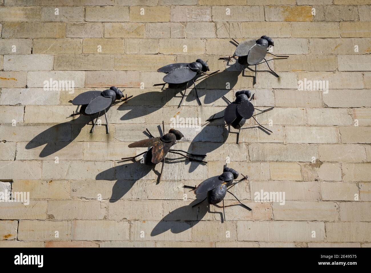 Giant metal flies on an outside wall at the Steampunk HQ, Oamaru, New Zealand. Stock Photo