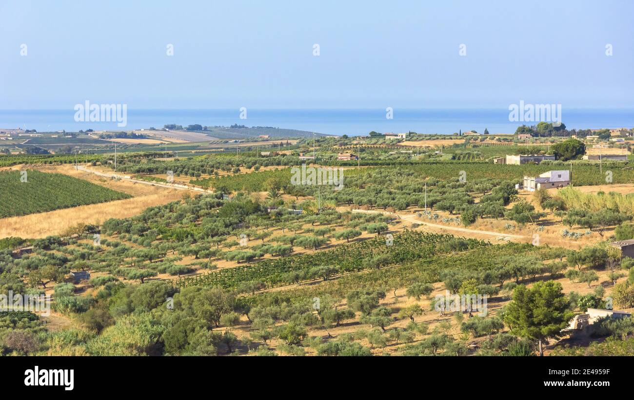 Sicily agriculture field nature hi-res stock photography and images - Alamy