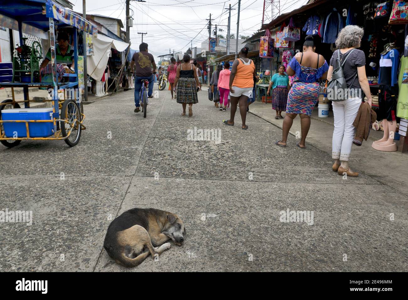 Livingston, Caribbean, Guatemala, Central America: old street dog sleeps in the middle of the main street Stock Photo