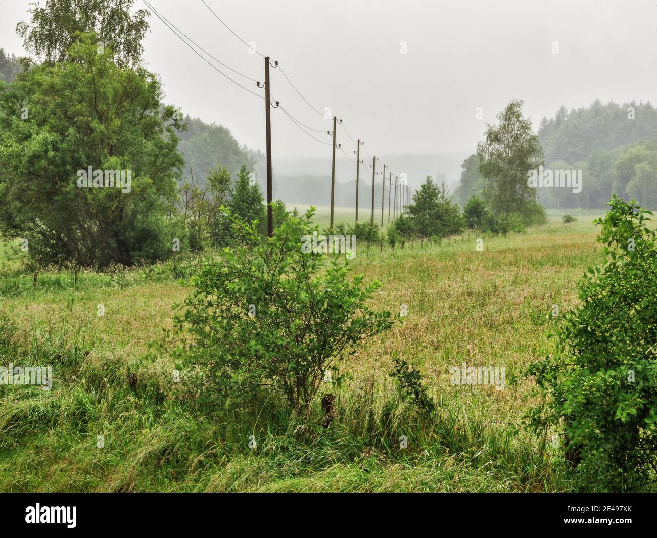 Meadows, trees, bushes, hedges, fences, streams, power lines Stock Photo