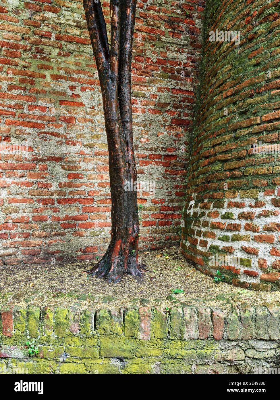 Bastion, citations, defense system, city wall, clinker wall, brick wall, city moat, fortification, historic old town, historical, old town, monument, monument site, listed, place of interest Stock Photo