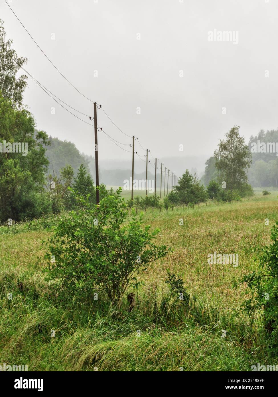 Meadows, trees, bushes, hedges, fences, streams, power lines Stock Photo