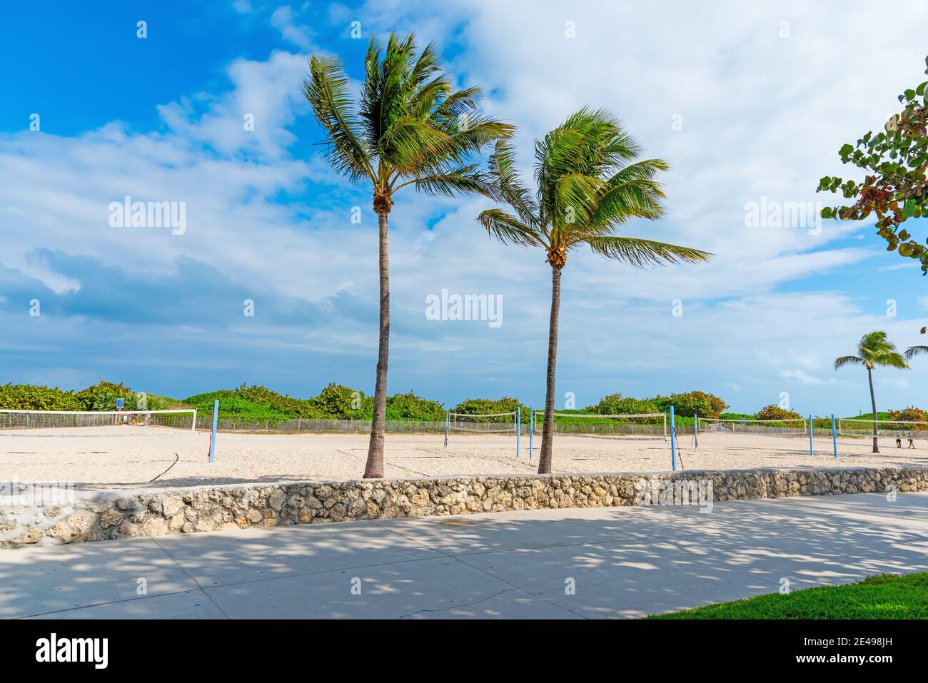 Palm trees and beach volley nets in Lummus Park, Miami Beach. Florida, USA Stock Photo