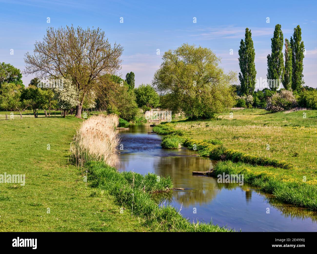 River, flowing water, low rivers, floodplain, floodplain meadows ...