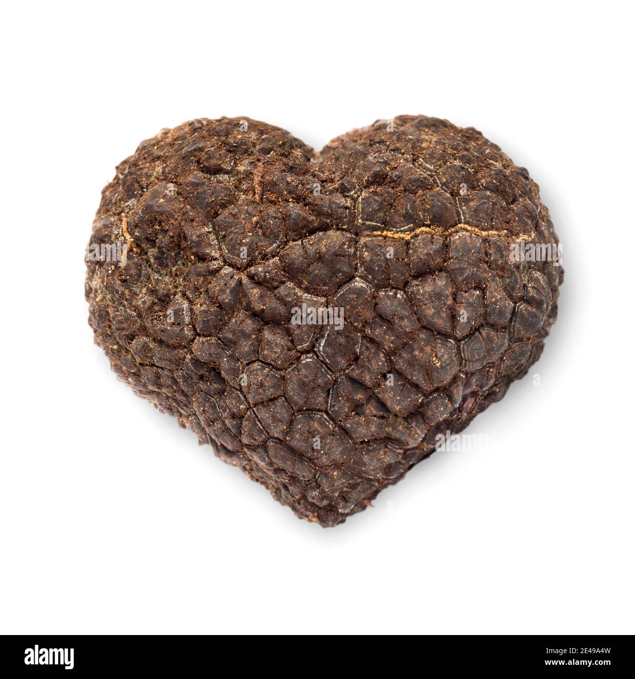 Single heart shaped fresh black truffle isolated on white background Stock Photo