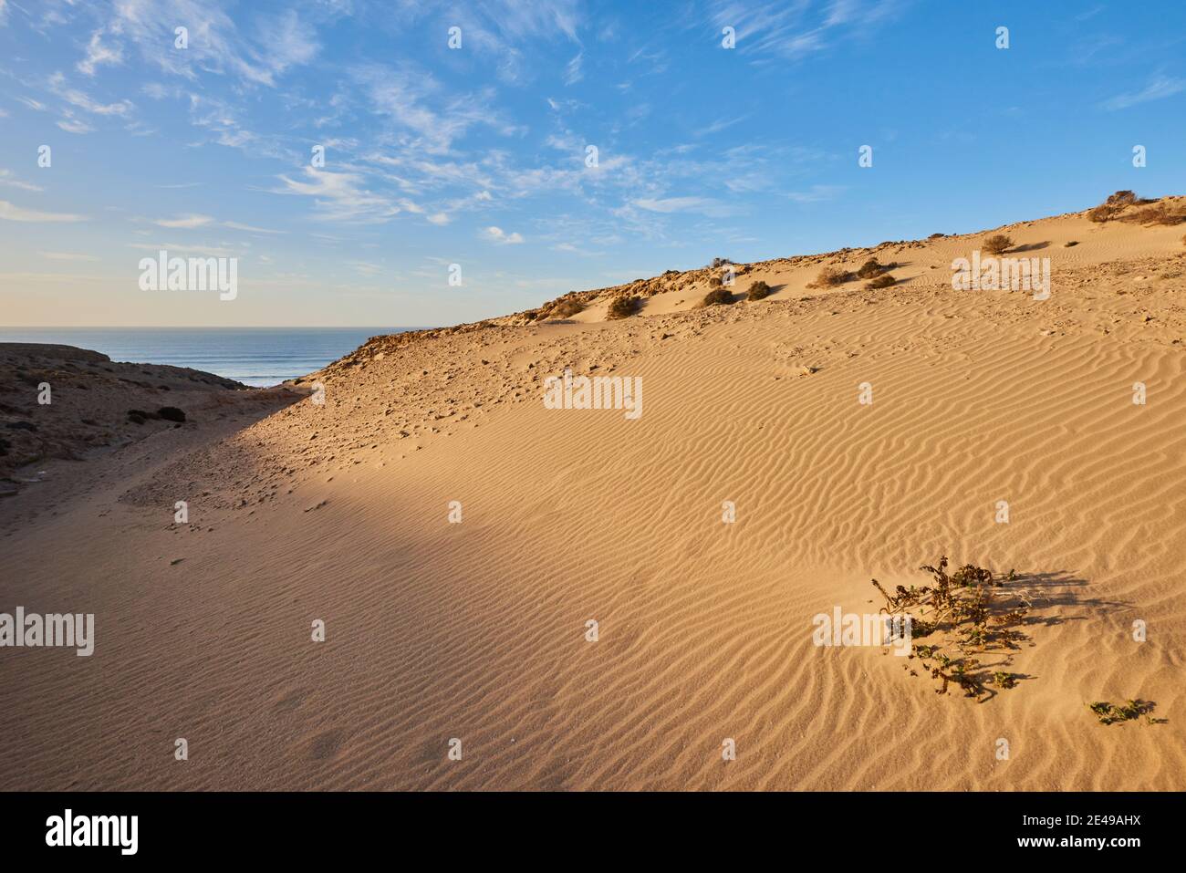 Sand dune at sunset on Playa del Viejo Rey beach, Fuerteventura, Canary Islands, Spain Stock Photo