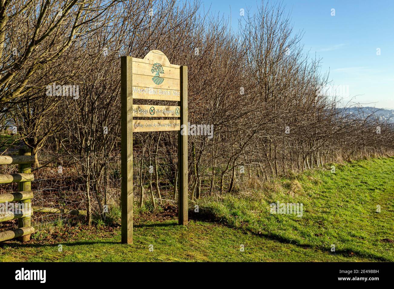woodland burials, Backgrounds, Beauty In Nature, Branch - Plant Part, Bright, Cemetery, Church, Color Image, England, Environment, Forest,burial Stock Photo