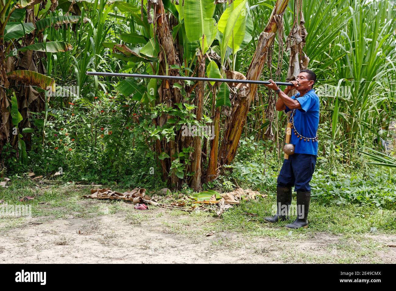 Indigenous man; using blowgun; weapon, long rod, skill, native tribe; hunting, South America, Amazon Tropical Rainforest, Ecuador, MR Stock Photo