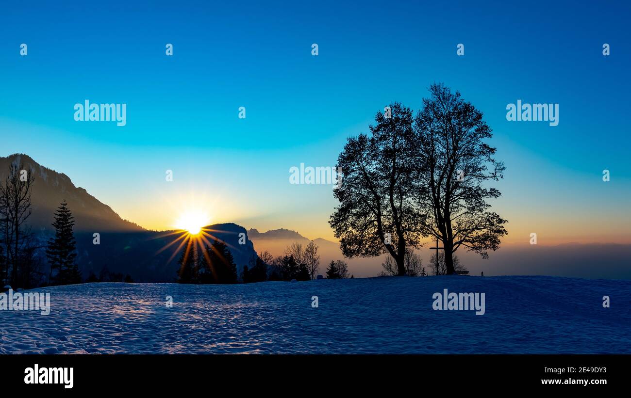 Double tree on the snowy mountain at sunset. doppelter Baum im Winter beim Sonnenuntergang. Bild für die Ehe, Treue, Einheit, Gemeinschaft, Liebe Stock Photo