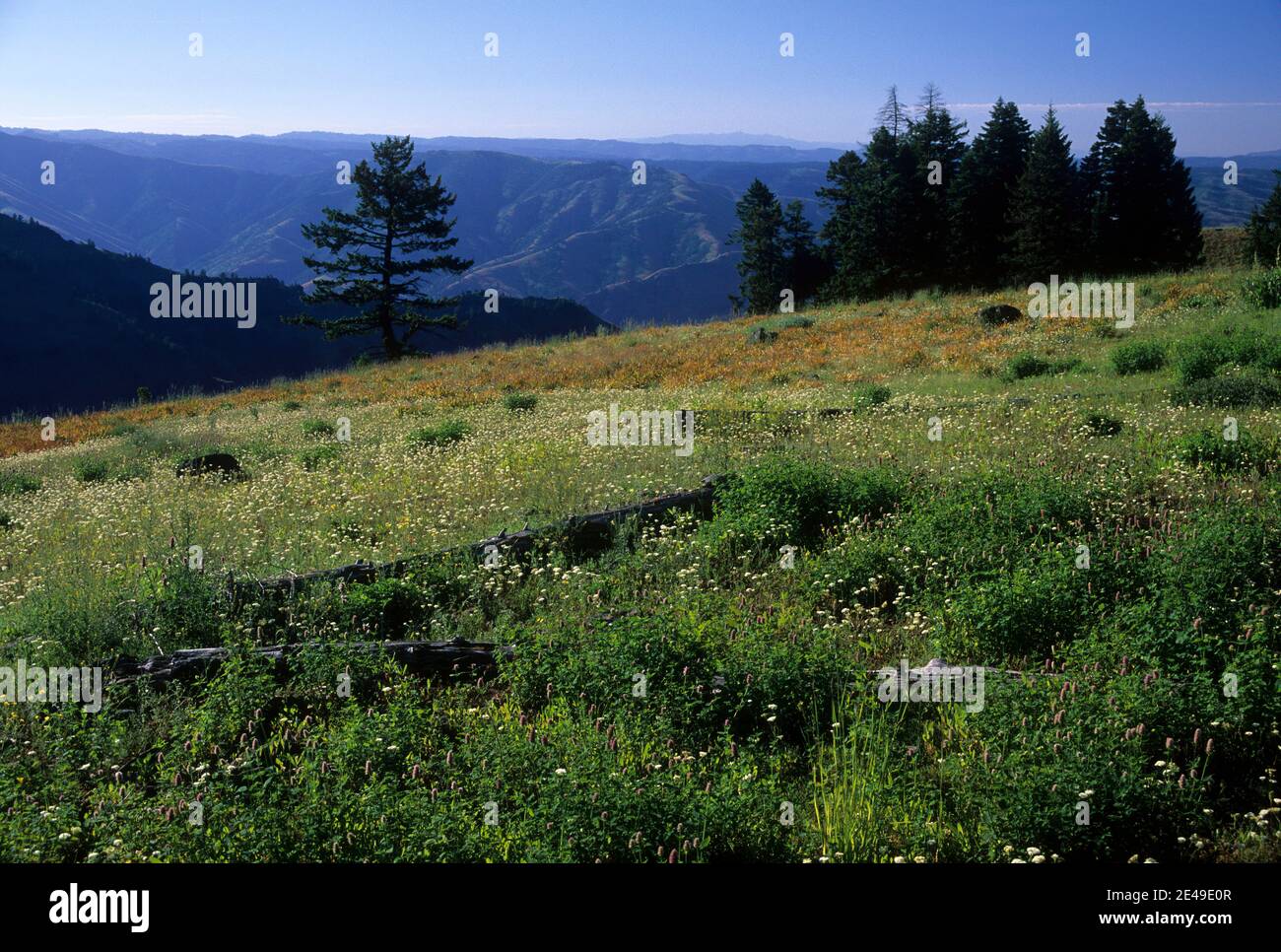 Summit Ridge, Hells Canyon National Recreation Area, Oregon Stock Photo