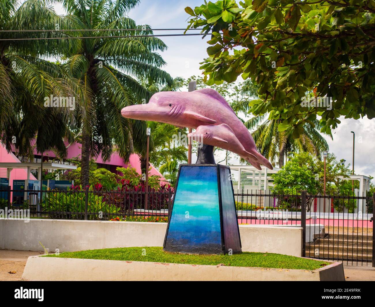 Leticia, Colombia - December 2017: Pink dolphin statue in the city on the banks of the Leticia Amazon River. On the planet, Brarzyli, Kolubia and Peru Stock Photo