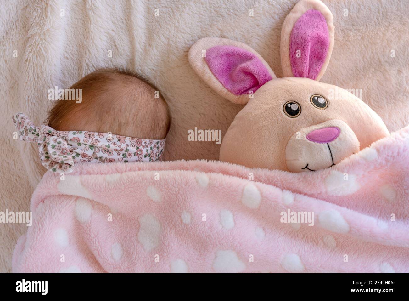 cuddly easter bunny