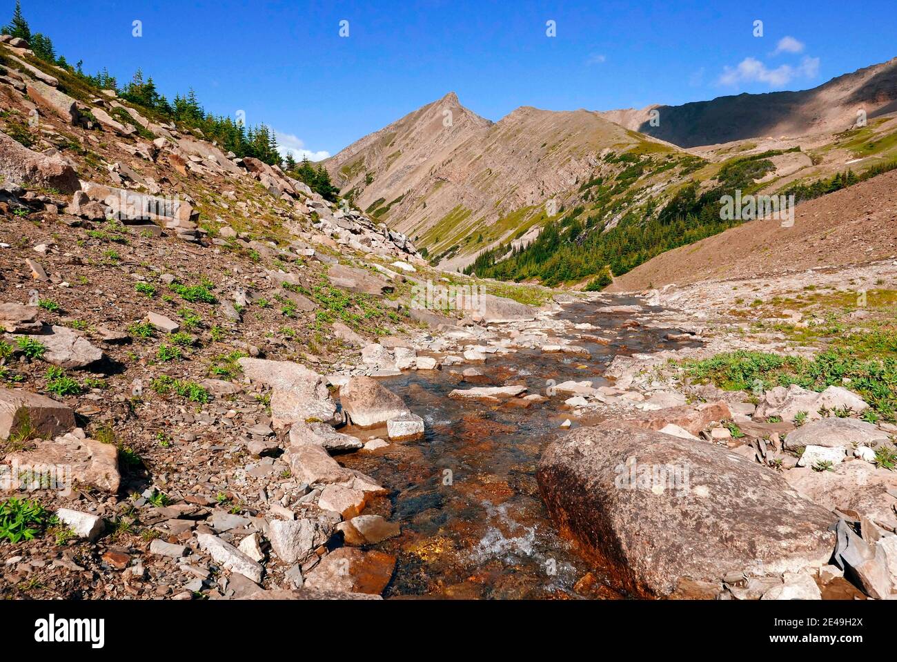 Landscape at Shovel Pass Lodge, Skyline Hiking Trail at Jasper, Jasper National Park, Rocky Mountains, Alberta, Canada Stock Photo