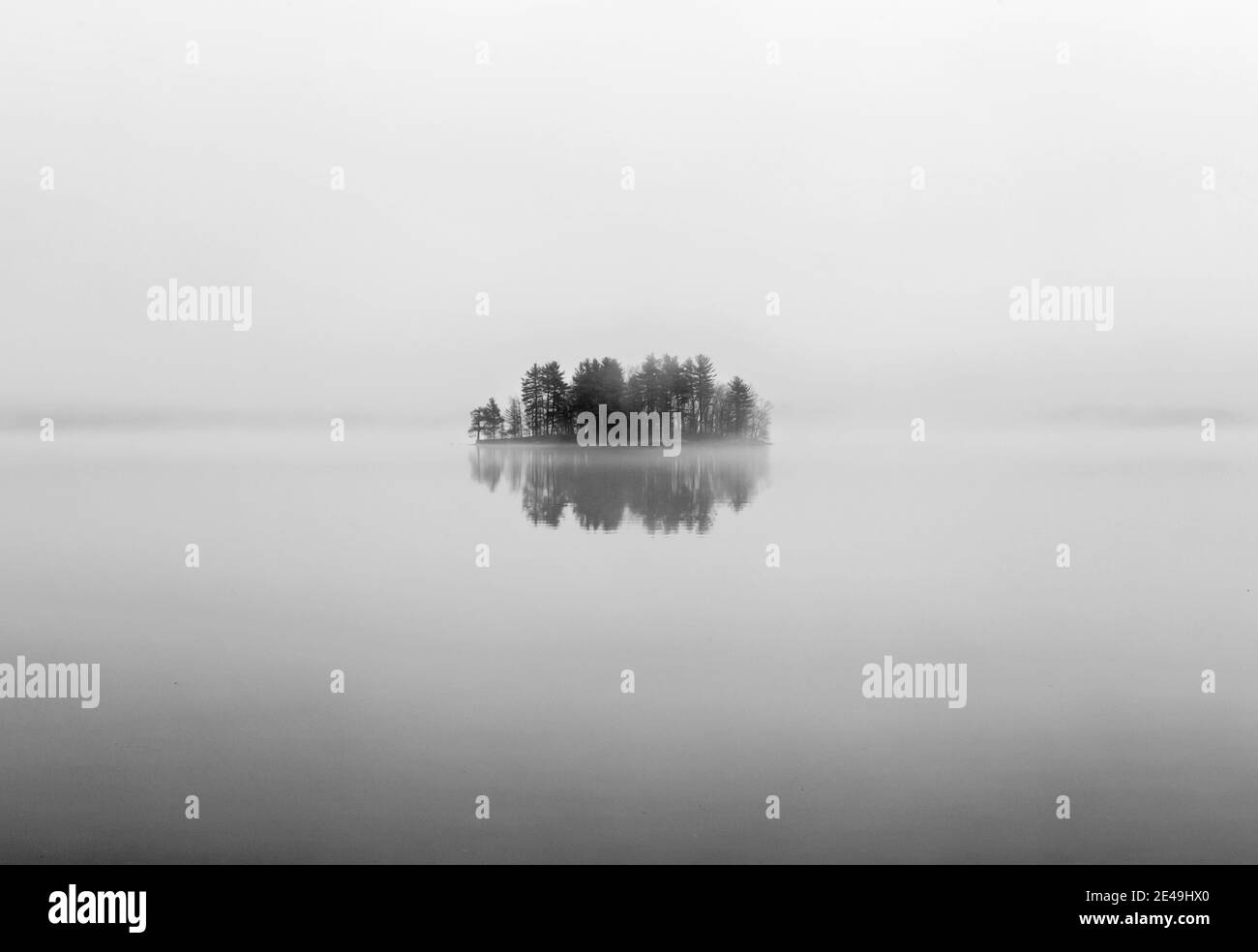 Lone island reflected in calm water of lake on foggy day, Maine Stock Photo