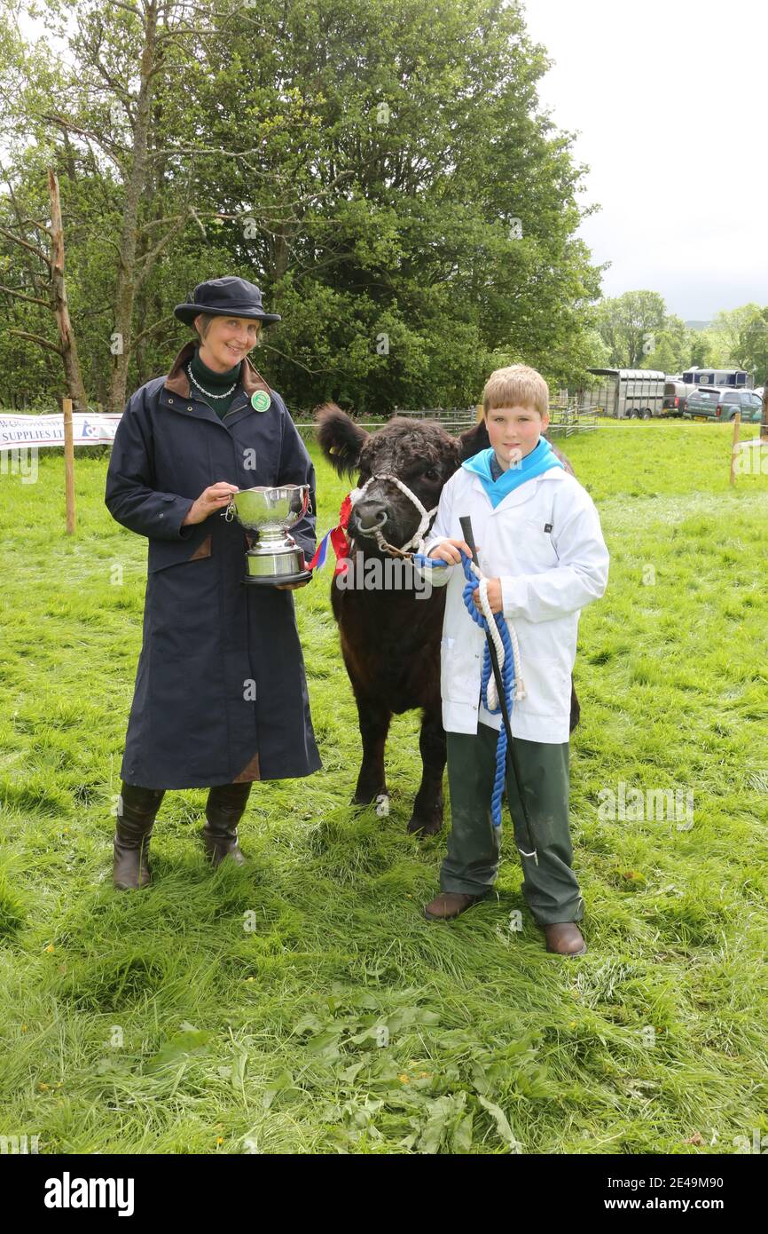Straiton, Ayrshire, Scotland, UK 10 June 2017. Local agricultural show.  Calum Cook from Glenburn Farm Girvan (12) with 17mth heifer BlueBell of  Glendoune a pure breed Galloway won the Champion of Champions.