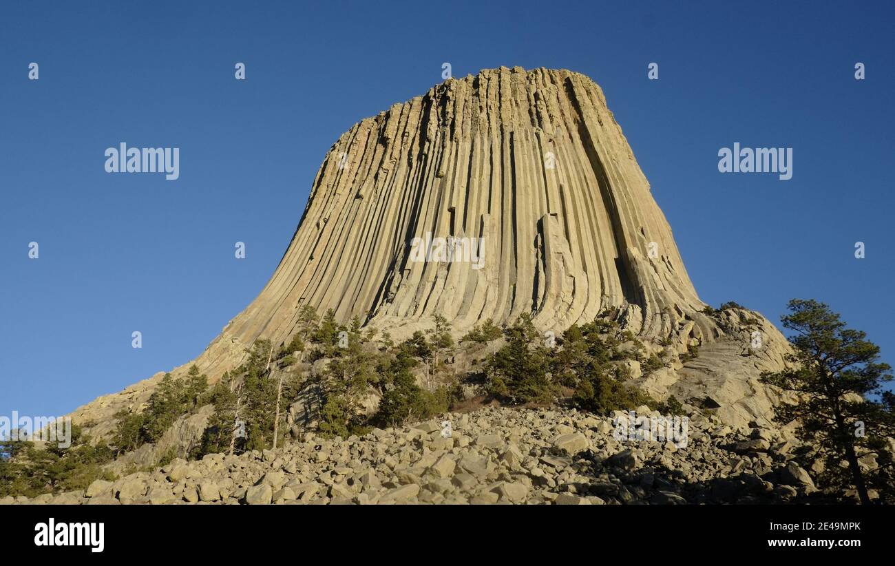 Devils Tower National Monument - Wyoming is a butte, possibly laccoliths, composed of igneous rock. It was established as National Monument in 1906 by Theodore Roosevelt. Resistant to erosion, it forms vertical cliffs that encircle the tower. Stock Photo
