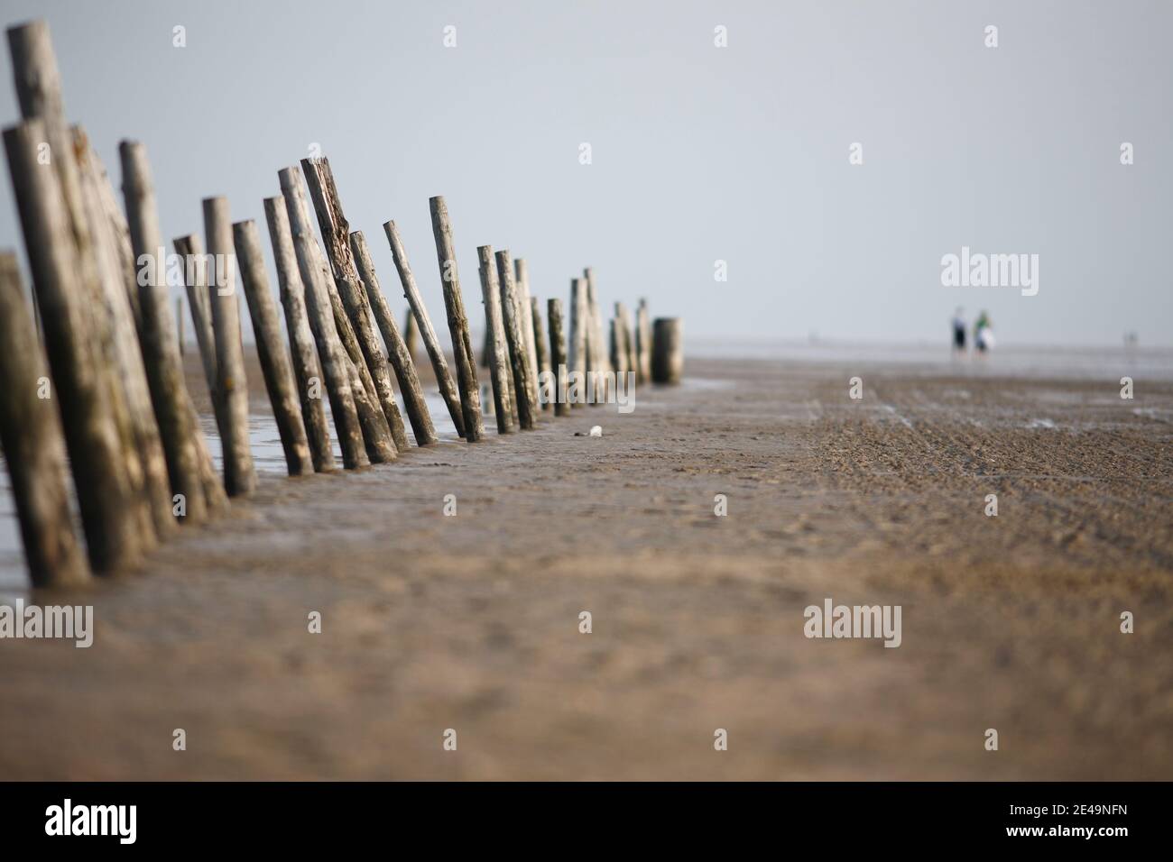 Wooden posts show the way into the Wadden Sea with two people in the background in St. Peter Ording, North Friesland, Schleswig Holstein, Germany Stock Photo