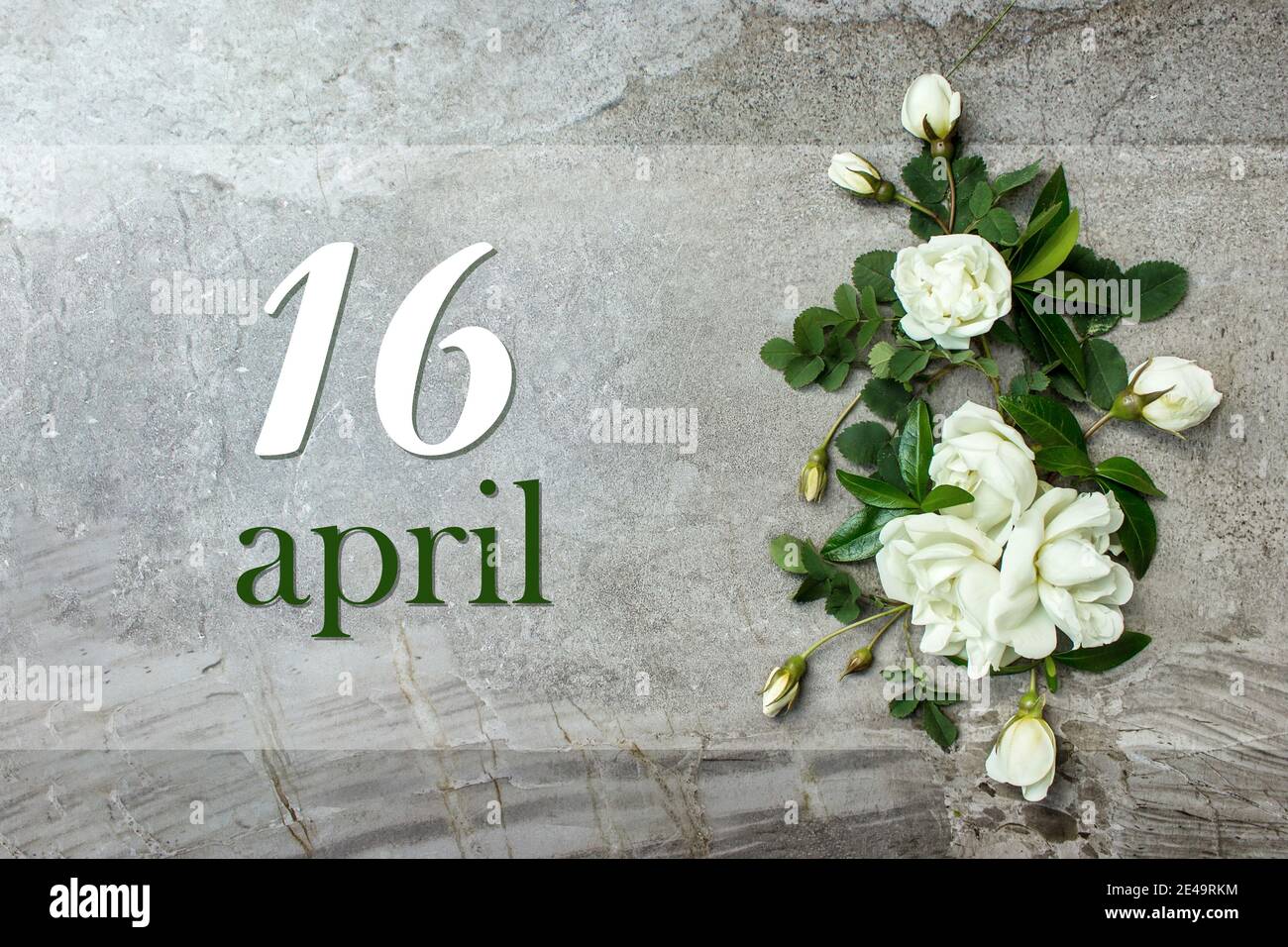 April 16th. Day 16 of month, Calendar date. Stylish roses flat lay ...