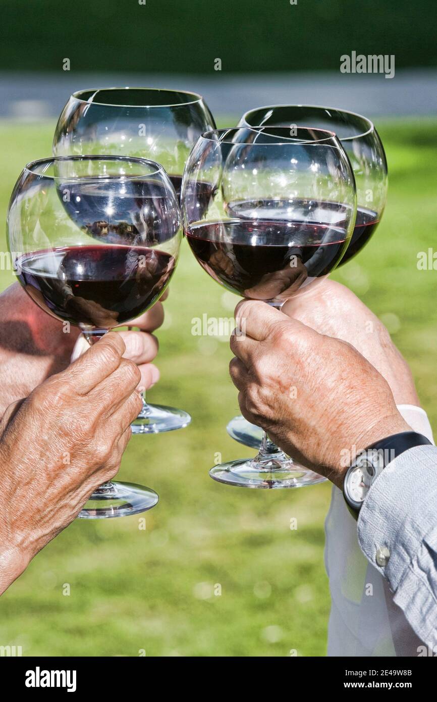 Close up shot of Four people raising toast Stock Photo Alamy