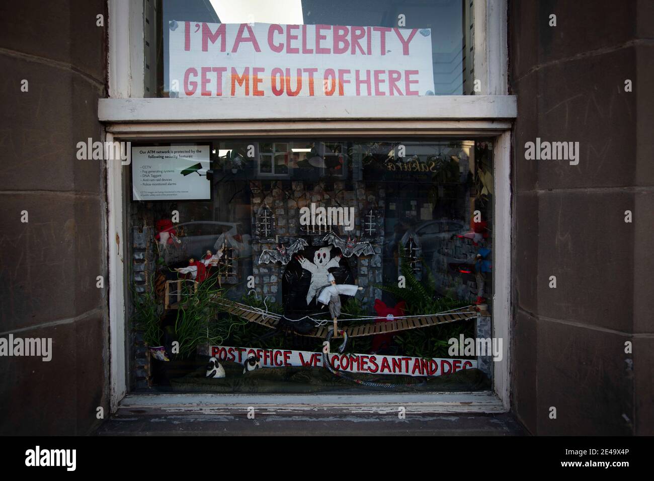 A shop front in Abergele, north Wales, decorated in tribute to the television show I'm A Celebrity Get Me Out Of Here, which is being filmed in Gwrych Castle on the outskirts of the town. There have been reports that non-native species of insects such as cockroaches have escaped from the set and found their way into the local environment. Stock Photo