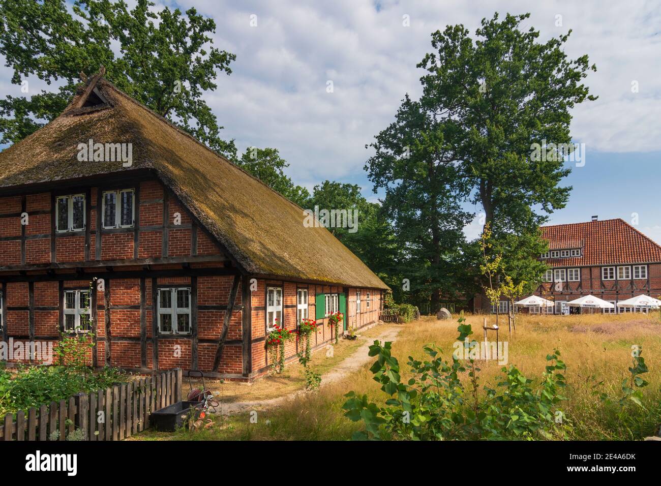 Wilsede, thatched roof house of Heidemuseum (Heath museum) Dat ole Huus (left), a typical timber-framed hall house, Lüneburger Heide / Lüneburg Heath, Niedersachsen / Lower Saxony, Germany Stock Photo