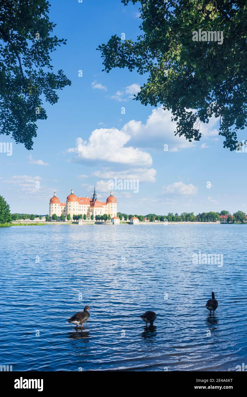 Moritzburger teiche hires stock photography and images Alamy