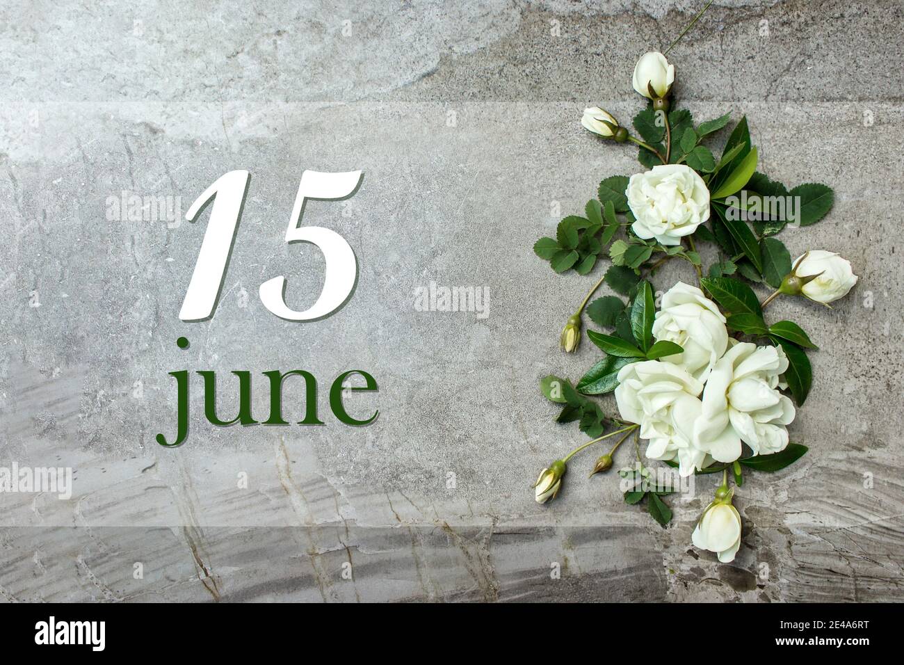 June 15th. Day 15 of month, Calendar date. Stylish roses flat lay ...