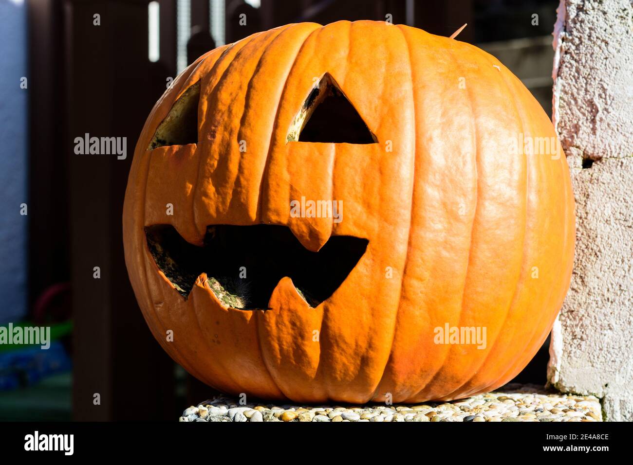 Edlitz, Halloween pumpkin, Wiener Alpen, Alps, Niederösterreich / Lower Austria, Austria Stock Photo