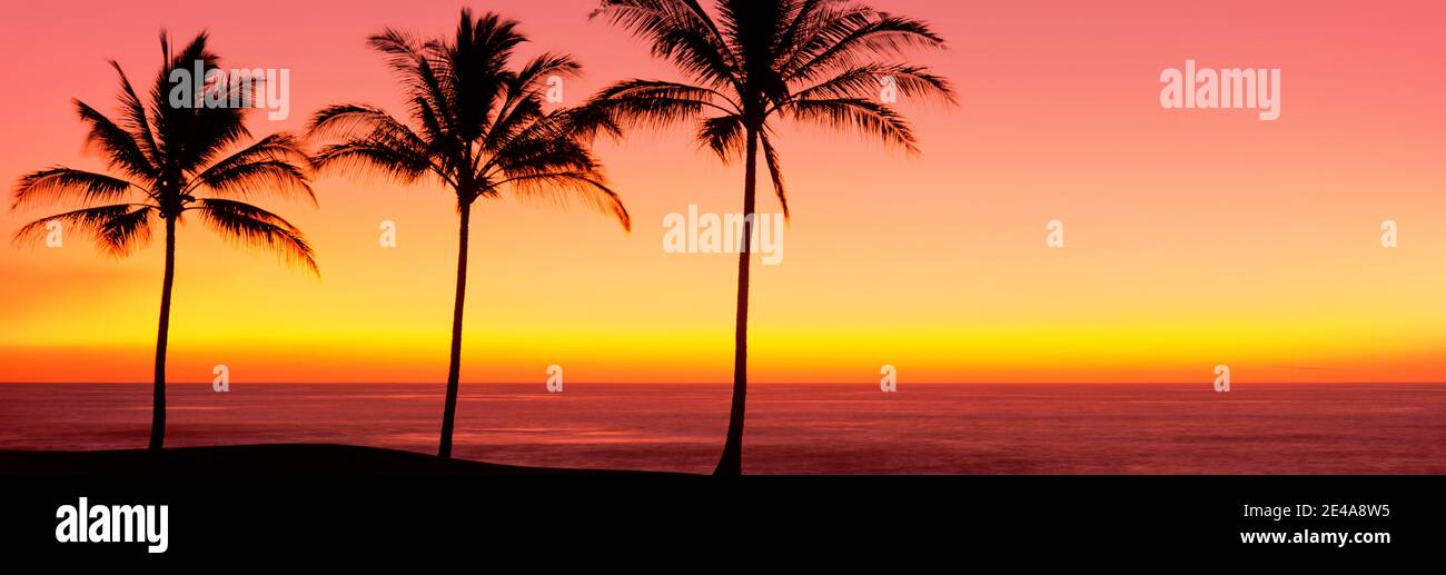 Sunset hawaii palm tree hi-res stock photography and images - Alamy