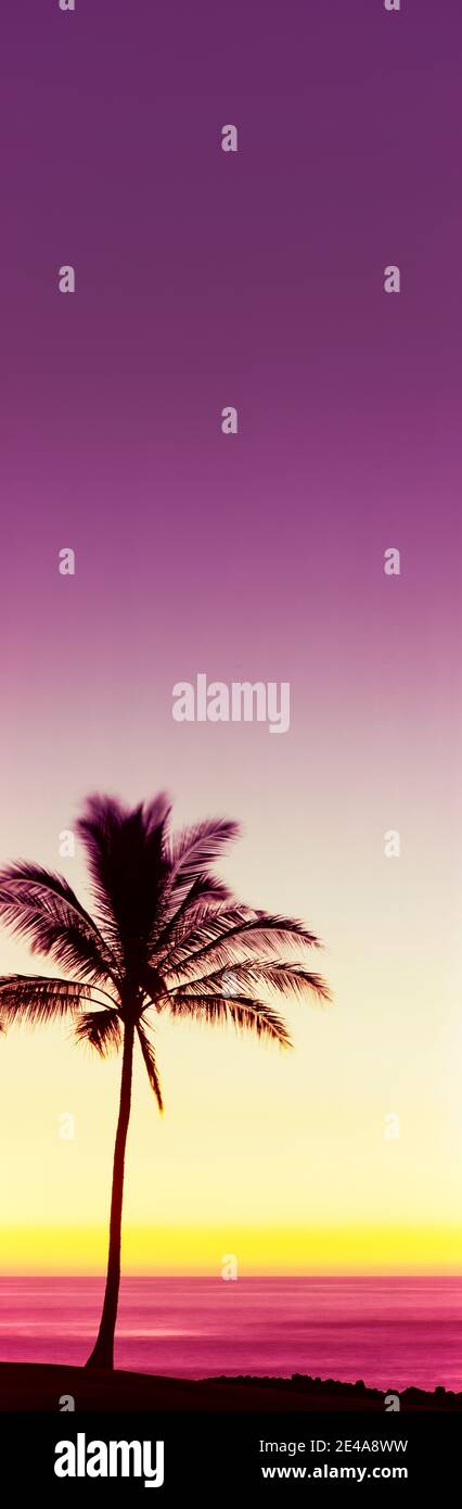 Sunset hawaii palm tree hi-res stock photography and images - Alamy