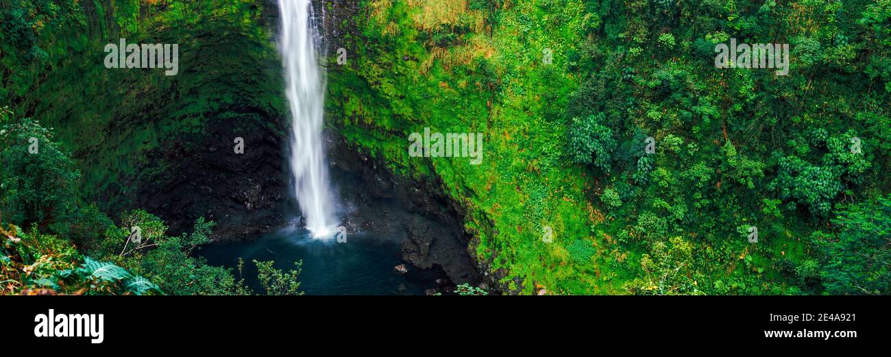 High angle view of a waterfall, Akaka Falls, Akaka Falls State Park, Hawaii County, Hawaii, USA Stock Photo