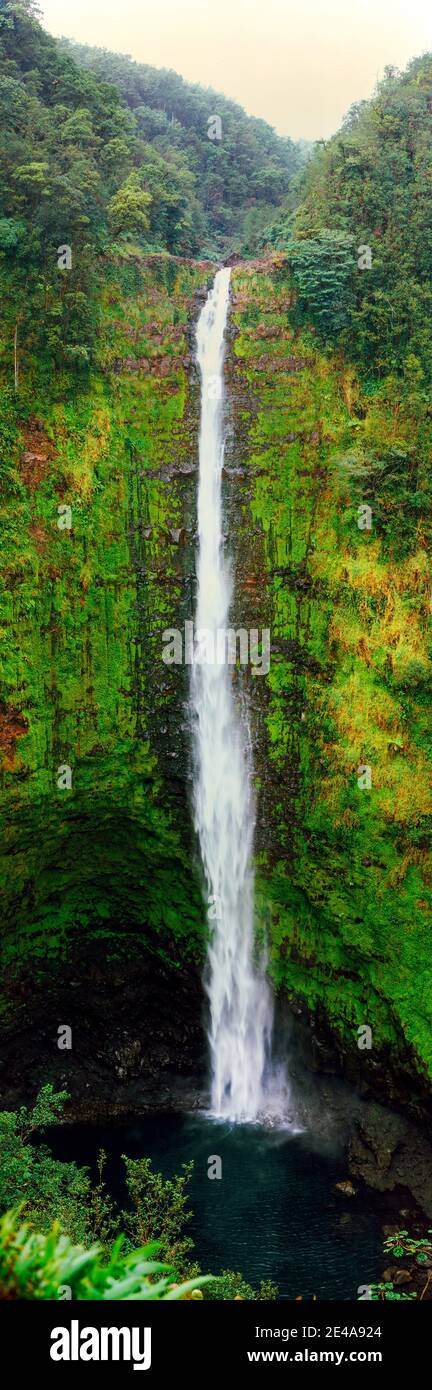 View of a waterfall, Akaka Falls, Akaka Falls State Park, Hawaii County, Hawaii, USA Stock Photo