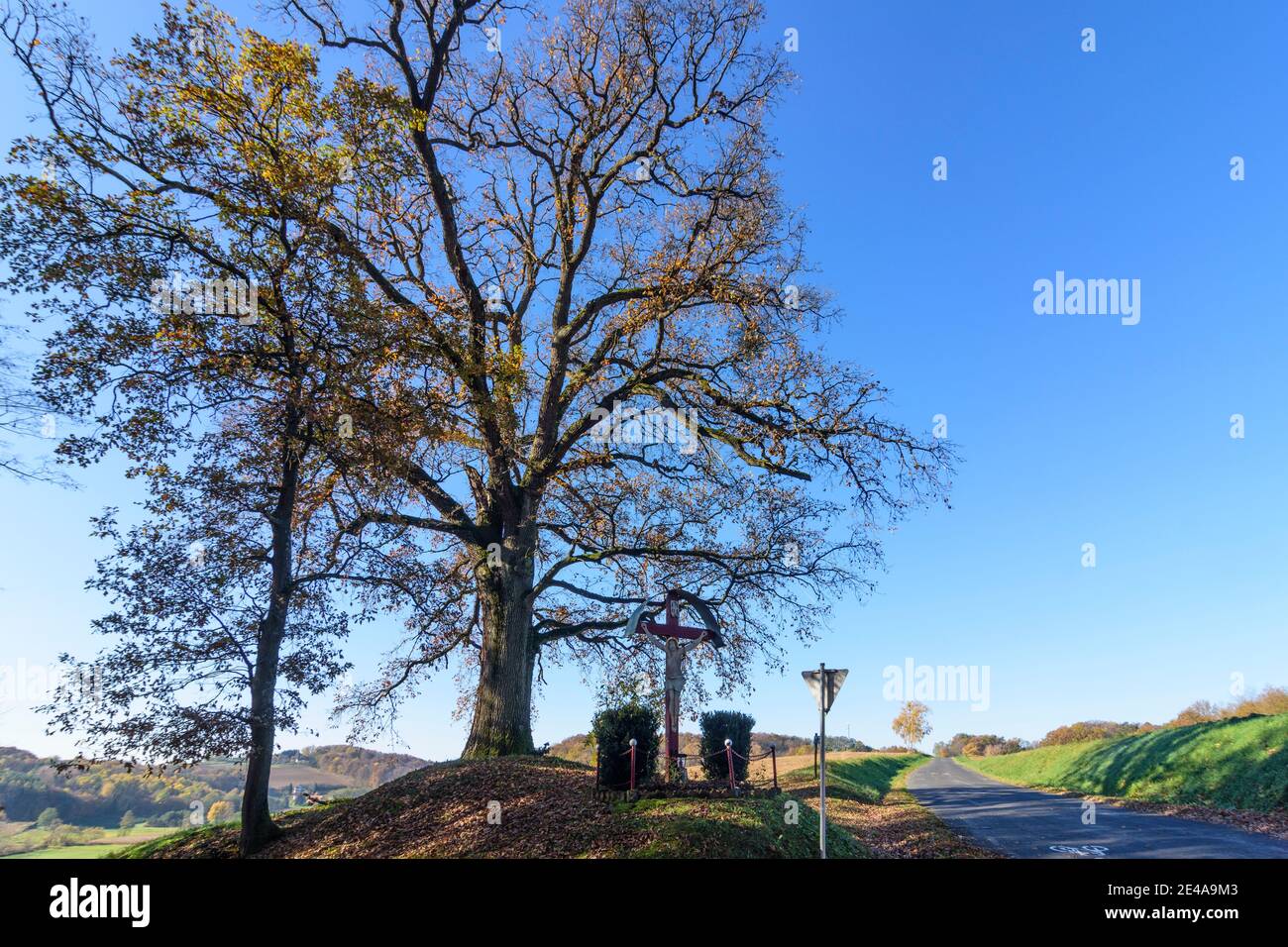 Güssing, wayside cross, tree, Southern Burgenland, Burgenland, Austria Stock Photo