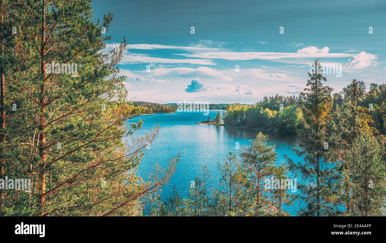 Nature. Sweden. Summer Lake Or River In Beautiful Summer Sunny Day. Forest Growing On Stone Coast Stock Photo - Alamy