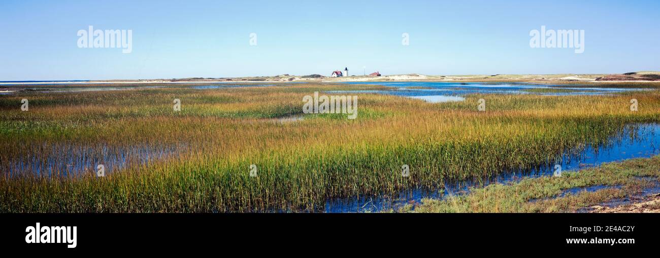 Swamp with lighthouse in the background, Race Point Light, Provincetown, Cape Cod, Barnstable County, Massachusetts, USA Stock Photo