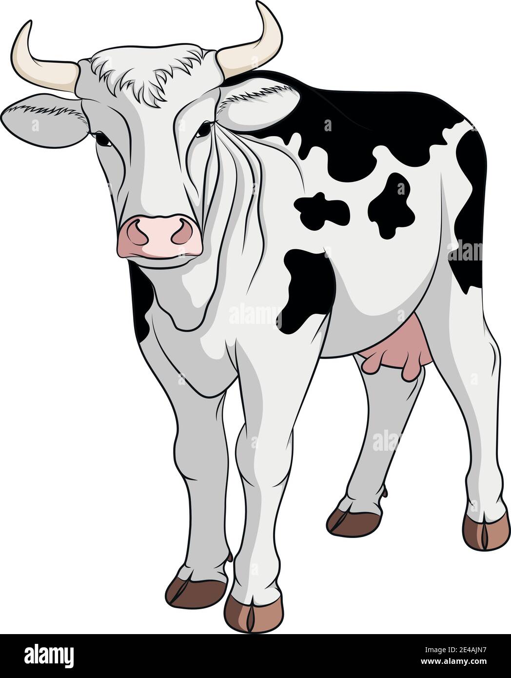 Color illustration with a spotted black and white cow. Isolated vector object on white background. Stock Vector