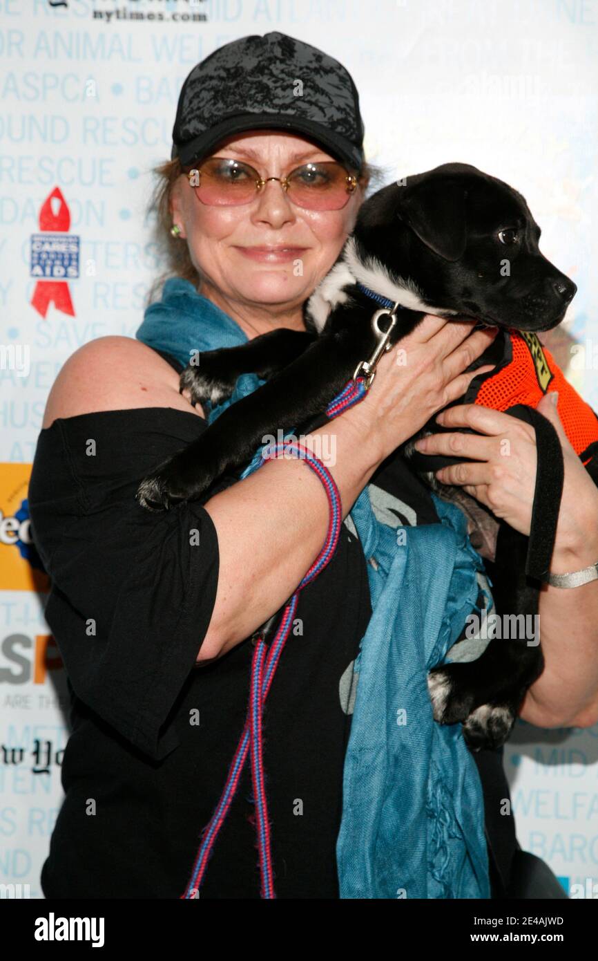 Actress Elizabeth Ashley attends the 11th Annual Broadway Barks in Shubert Theatre on July 11, 2009 in New York, NY. Photo By Anton Pak/ABACAPRESS.COM (Pictured: Elizabeth Ashley) Stock Photo