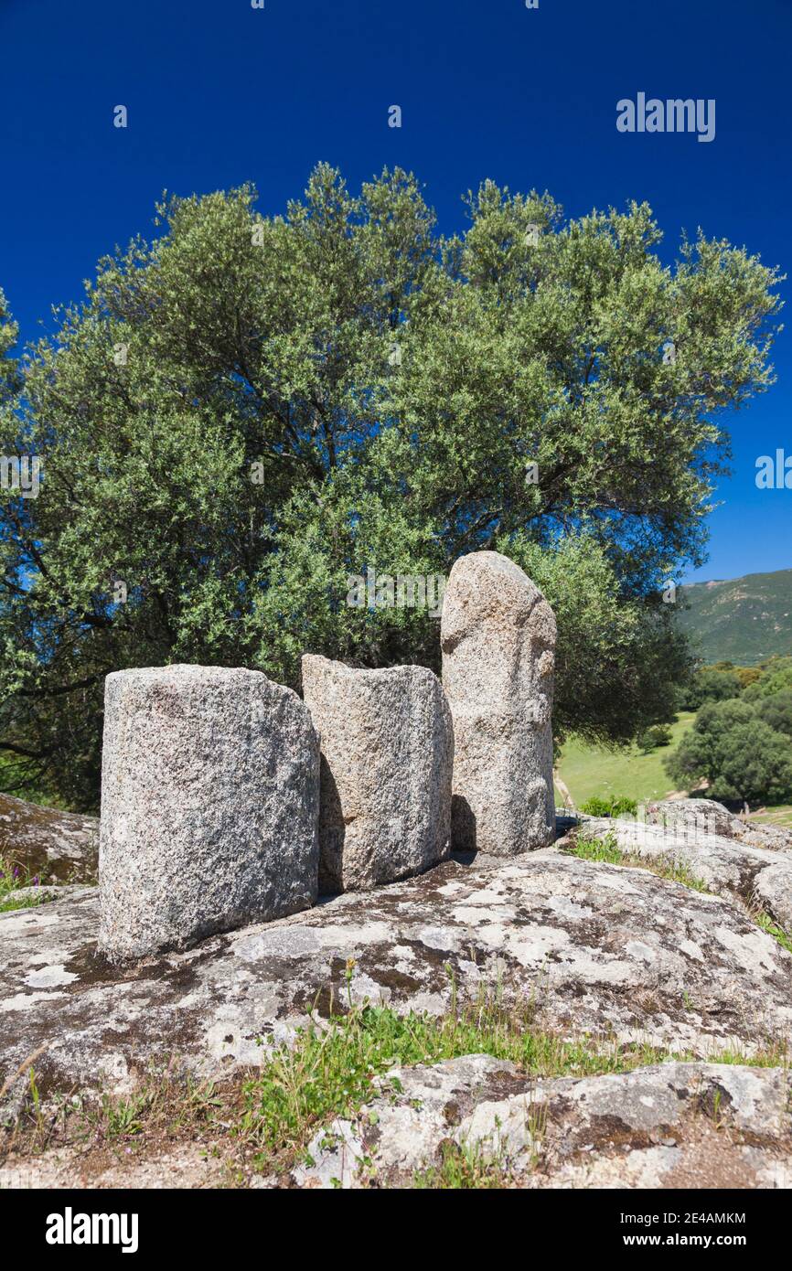 Standing stones, Filitosa, Corse-Du-Sud, Corsica, France Stock Photo