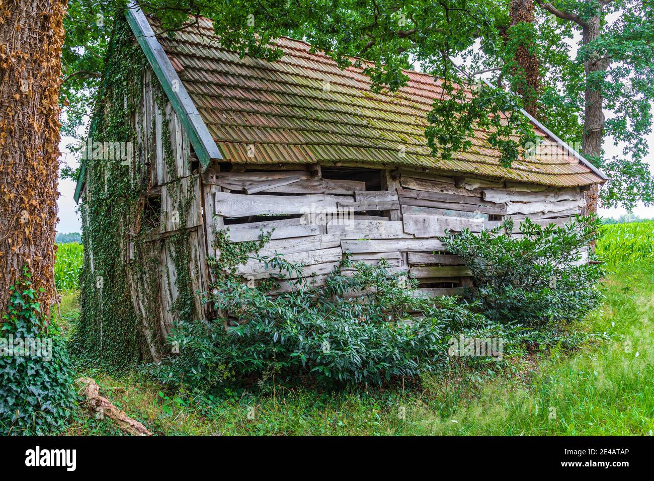 Old wooden barn Stock Photo