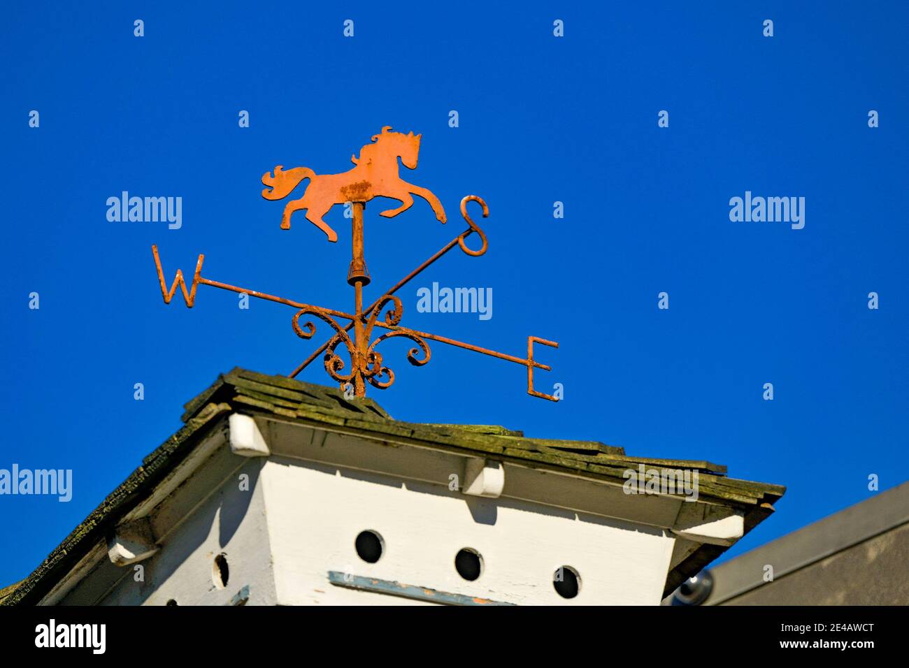 Horse weathervane hires stock photography and images Alamy