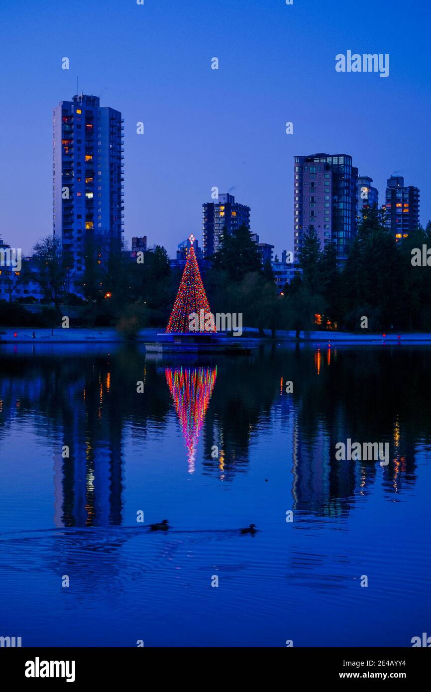 Christmas tree, Lost Lagoon, Stanley Park, Vancouver, British Columbia, Canada Stock Photo