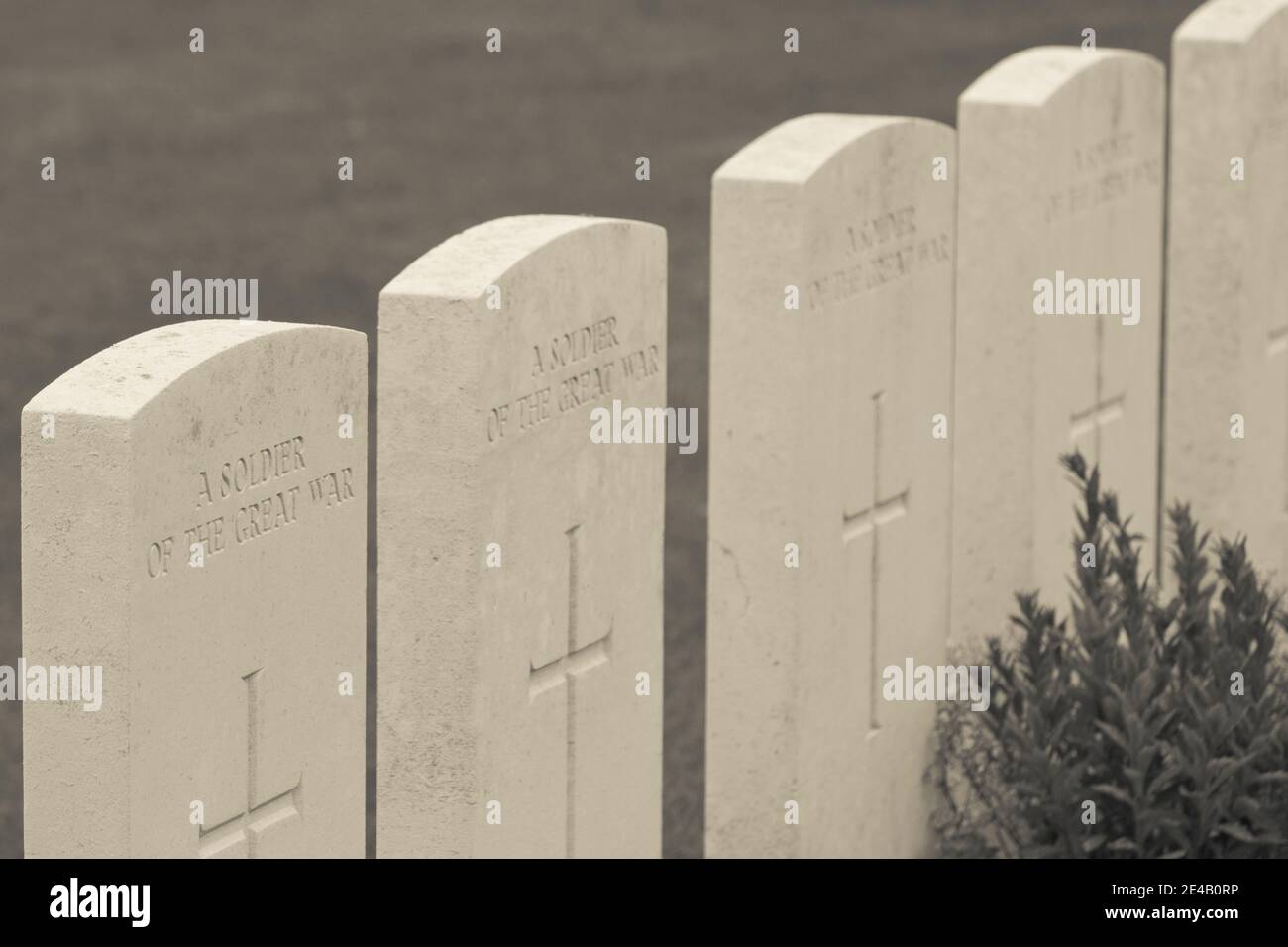 Canadian cemetery Number 2 at Vimy Ridge National Historic Site of Canada, Vimy, Pas-De-Calais, Nord-Pas-De-Calais, France Stock Photo