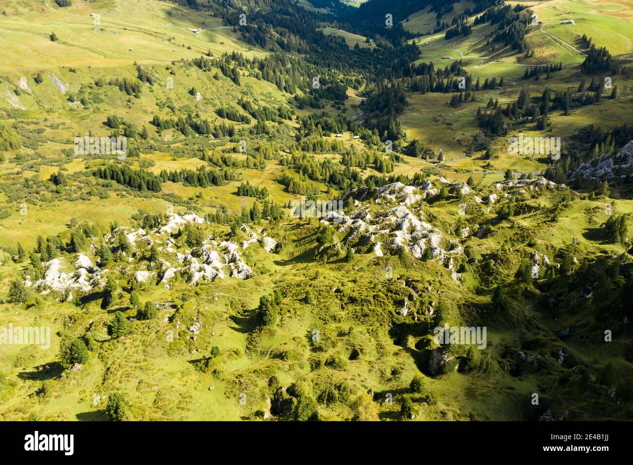 Pasture land with sinkholes and groups of trees Stock Photo